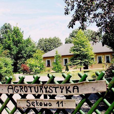 Agroturystyka Pod Modrzewiami Nowy Tomyśl Екстериор снимка