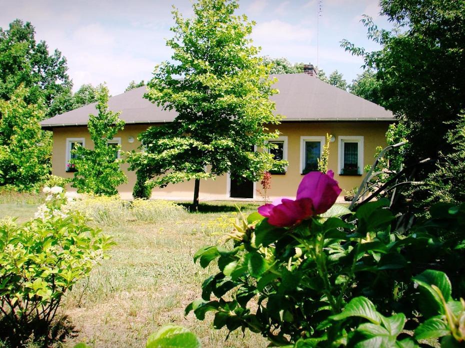 Agroturystyka Pod Modrzewiami Nowy Tomyśl Екстериор снимка
